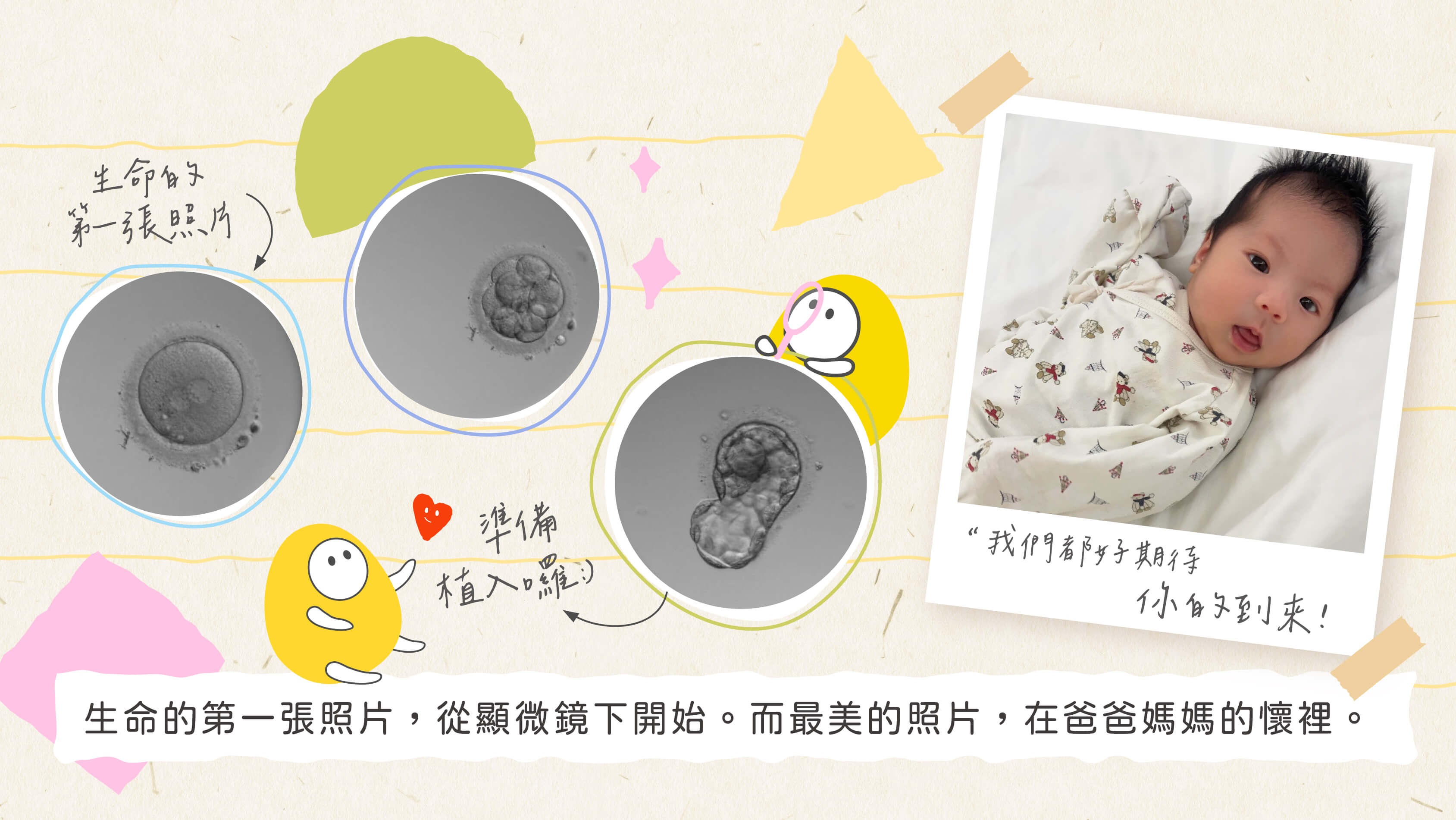 第一胎等了四次。二寶，一次遇見妳！