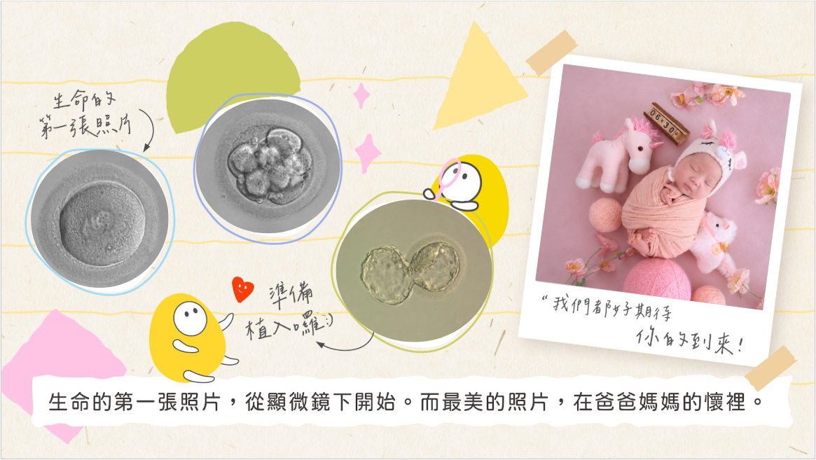 试管最后一植，终于把你生回来