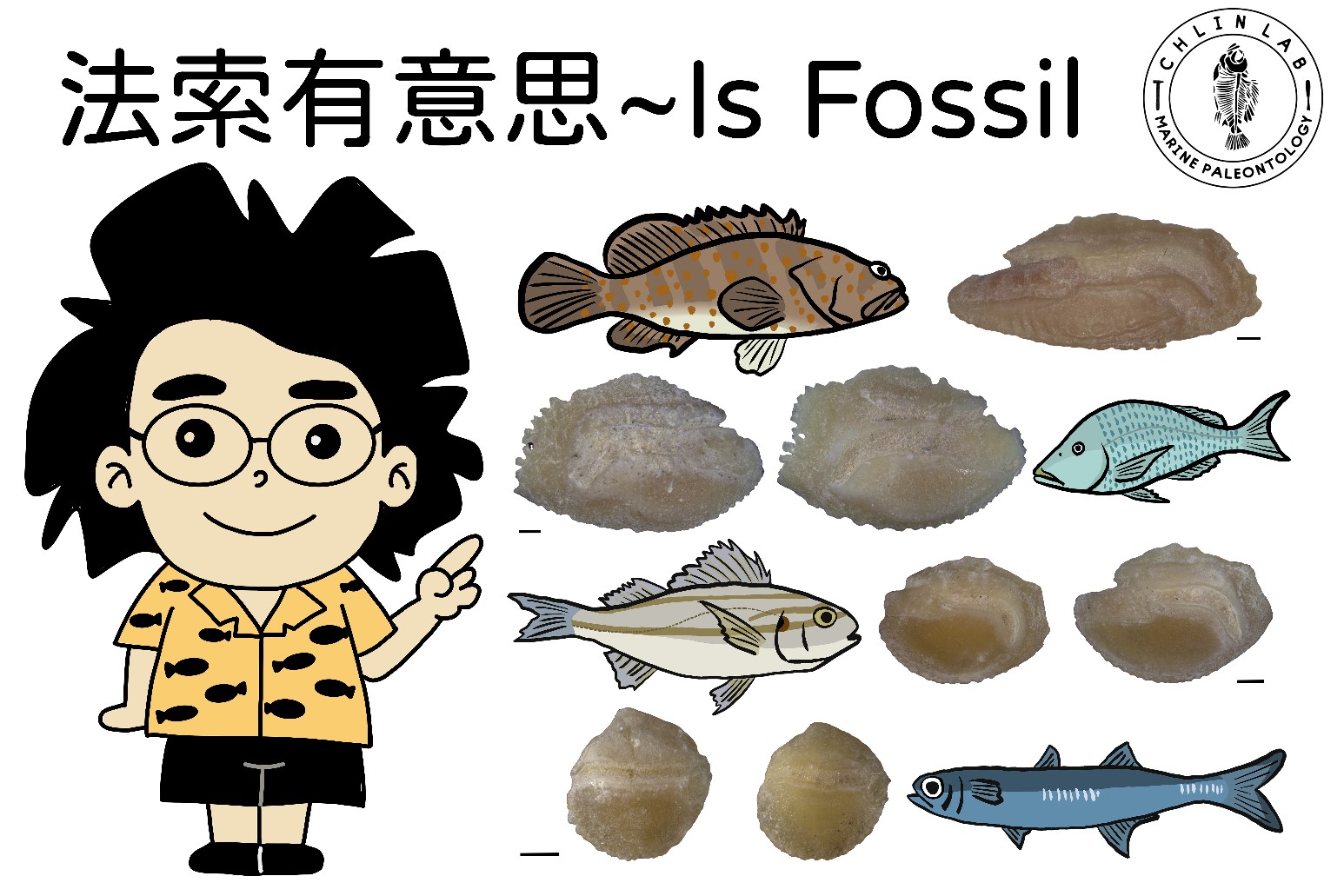 法索有意思