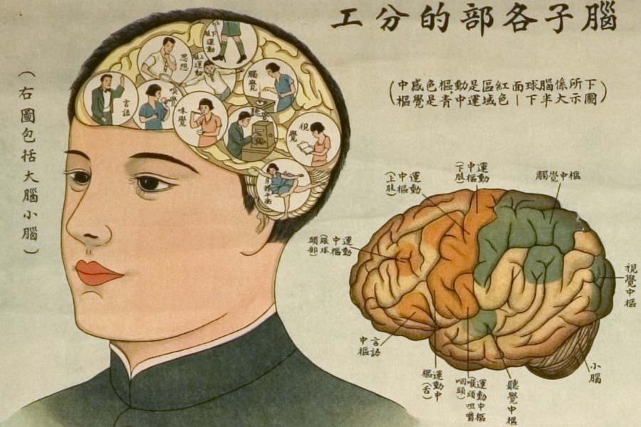腦科學的種族主義暗黑史