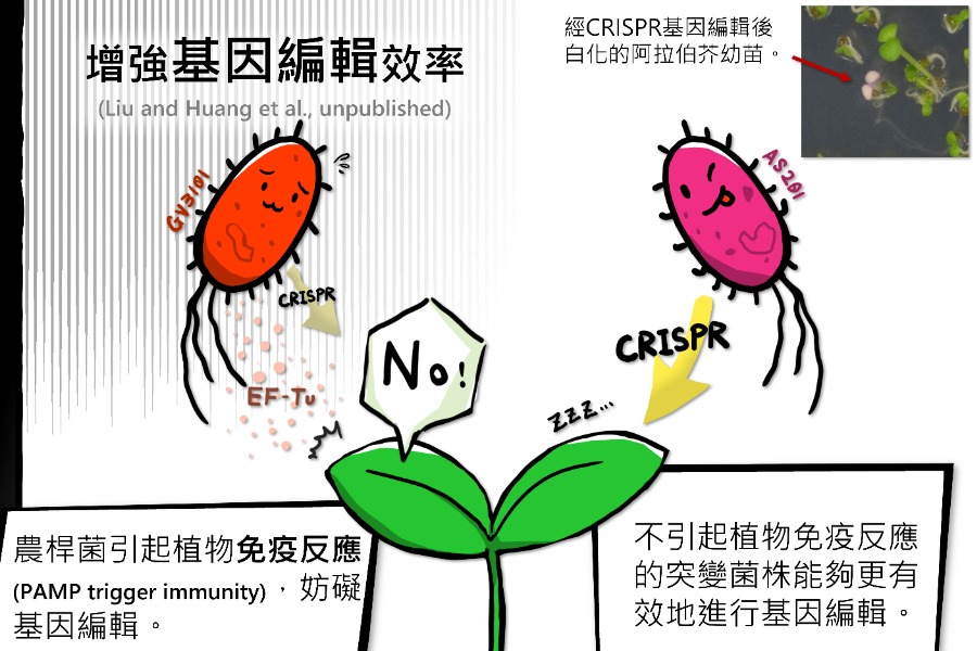 五星好評微觀外送員：DNA 外送中，擋路細菌請小心！