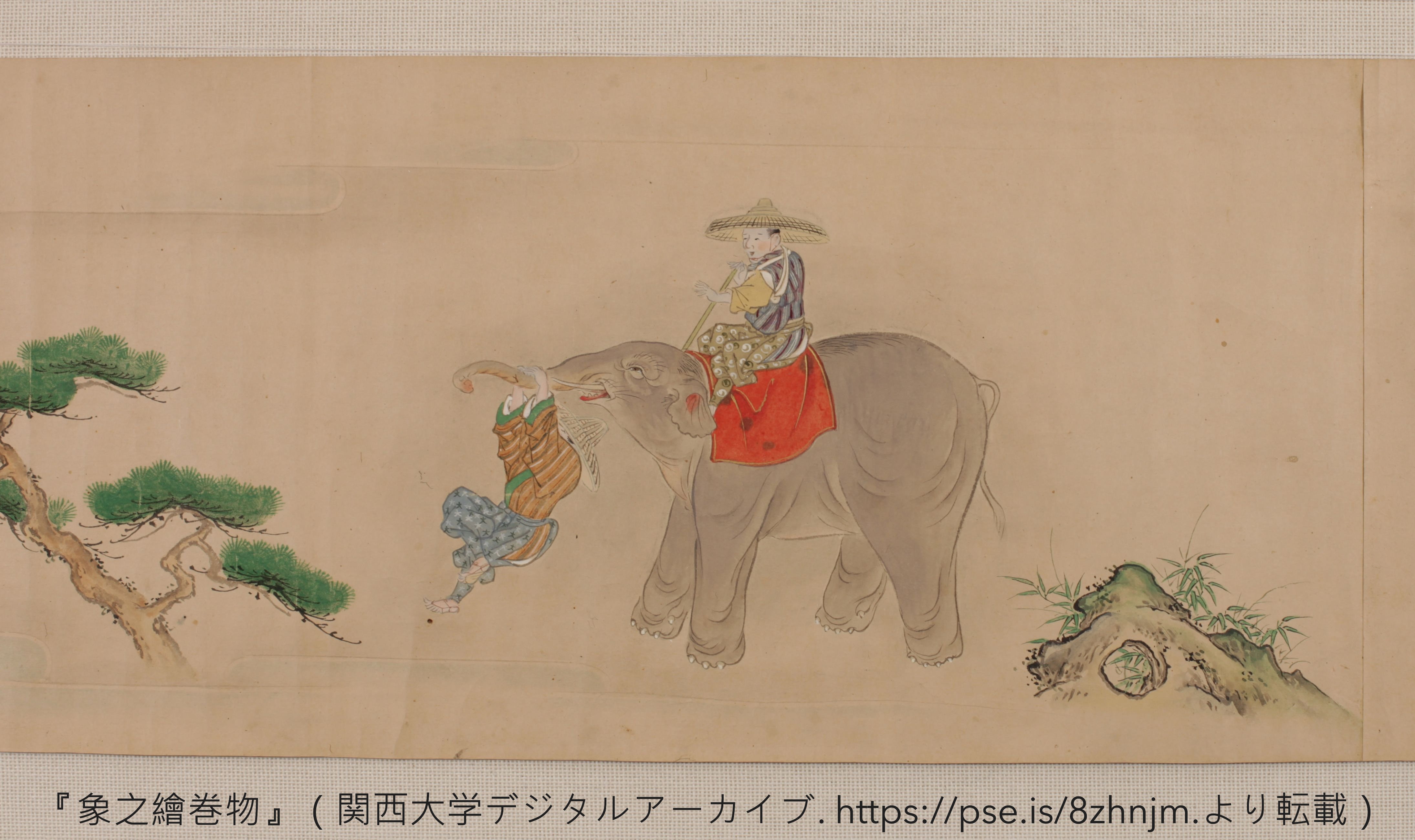 幕府將軍請簽收！1728年的大象快遞