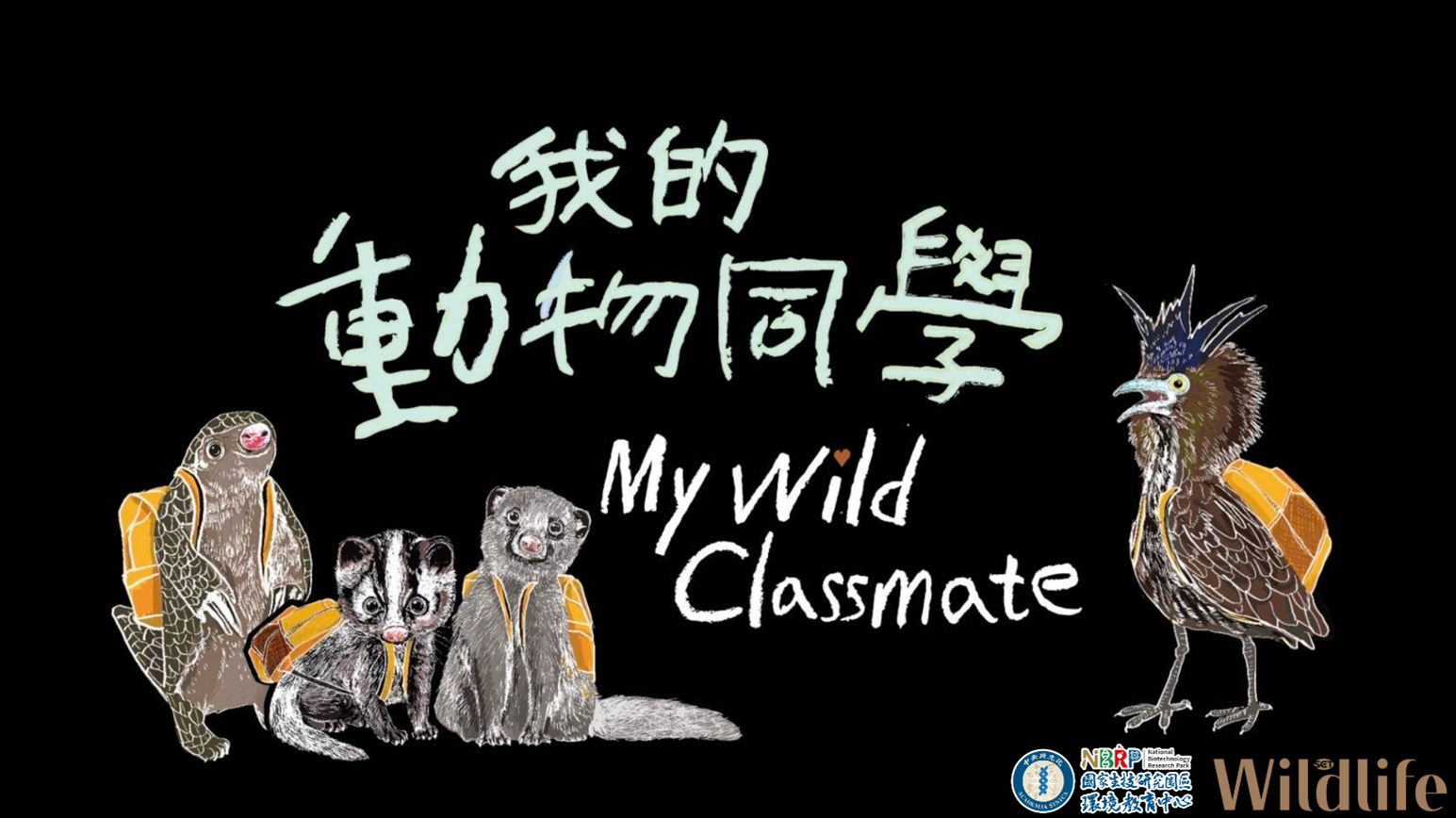 《我的動物同學》系列影片放映活動