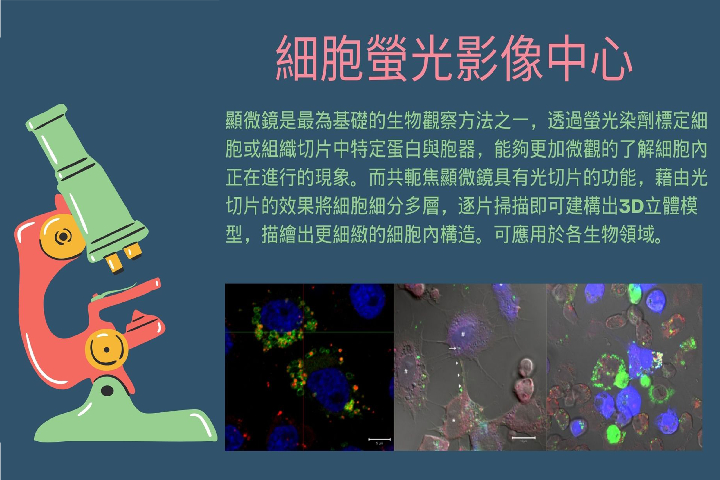 實驗室參觀- 細胞螢光影像中心