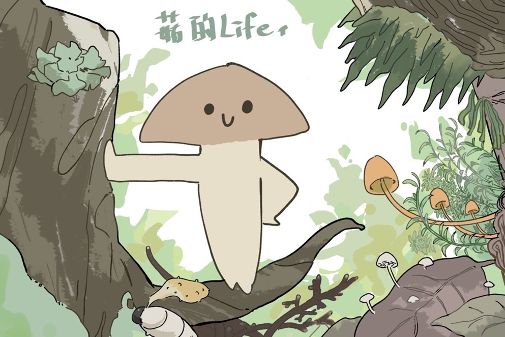 菇的Life